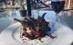 Riverina Hotel - thumb 3