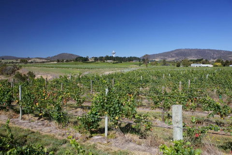 Riversdale Estate Cottages - Holiday Adelaide 1