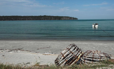 Rock Lobster - Holiday Adelaide 2