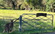 Rural Self Contained 3 Bedroom Cottage On Acreage, - thumb 2