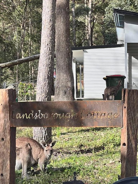Rural Self Contained 3 Bedroom Cottage On Acreage, - Holiday Adelaide 1