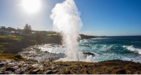 SALTY PALMS -Seaside Studio Apartment - Holiday Adelaide 2