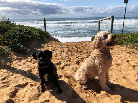 Sanctuary Retreat - Holiday Adelaide 2