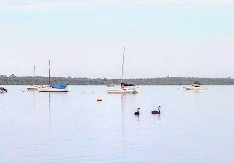 Beautiful, Peaceful Estuary Views, Five Star Quantity - Holiday Adelaide 3