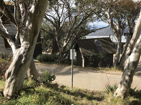 Beehive 18 - Holiday Adelaide 1