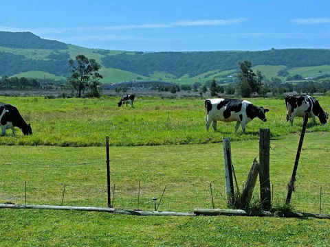 Bella Vista - Holiday Adelaide 3