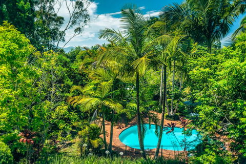 Bella Vista Bellingen - Holiday Adelaide 1