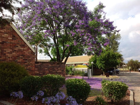 Belvoir Village Motel & Apartments Wodonga - Holiday Adelaide 0