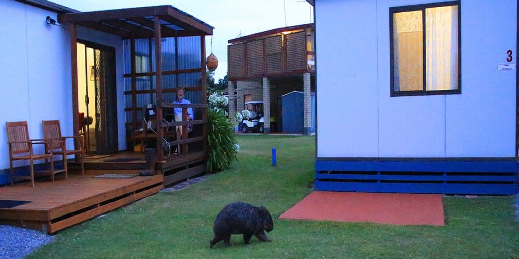 Kelso TAS Holiday Adelaide