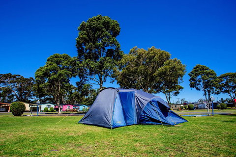 BIG4 Traralgon Park Lane Holiday Park - Holiday Adelaide 2