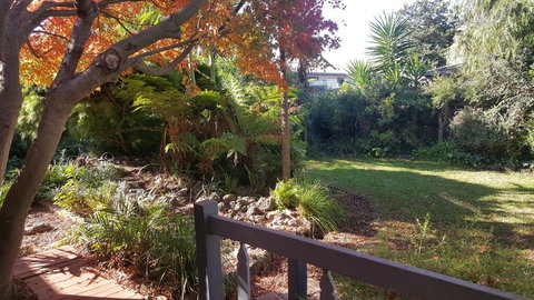 Bird N Branch - Holiday Adelaide 1