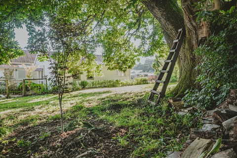 Blacksmiths Cottage - Holiday Adelaide 1