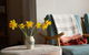 Boho Cottage - thumb 1
