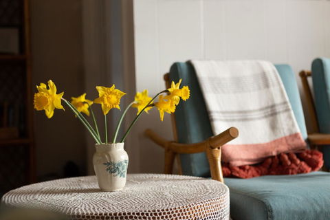 Boho Cottage - Holiday Adelaide 1