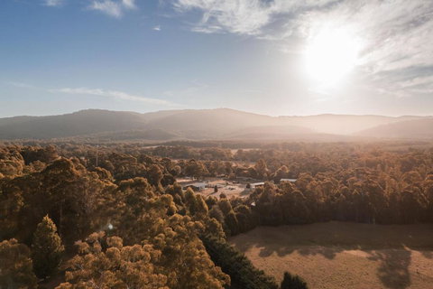 The Mill Houses Narbethong - Holiday Adelaide 1