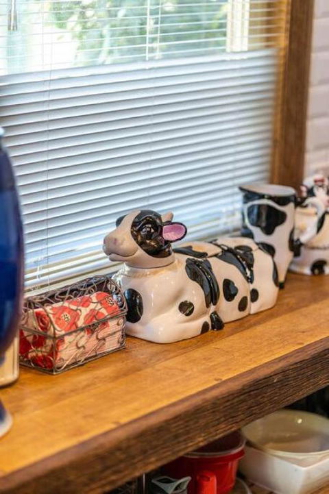 The Spotted Cow,city Fringe,pet Friendly-Free Wine - Holiday Adelaide 2