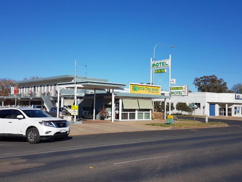 Wattle Tree Motel - Holiday Adelaide 1