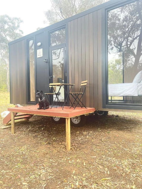 Whispering Wallaby By Tiny Away - Holiday Adelaide 1