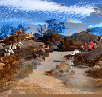 The Big Wave Rock Private Day Tour - Holiday Adelaide