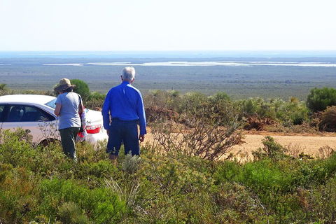 Spring Wildflower (Private) Day Tours - Holiday Adelaide 3