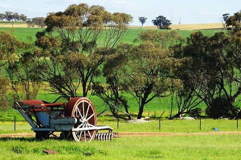 Spring Wildflower (Private) Day Tours - Holiday Adelaide 4