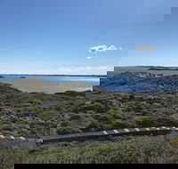 Penguin Island And Fremantle - Canoe Chocolate  Coffee - Holiday Adelaide