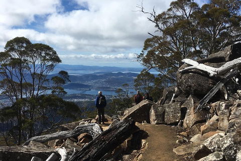 Kunanyi / Mt Wellington Explorer Bus - 2 Hour Return Tour - Holiday Adelaide 0