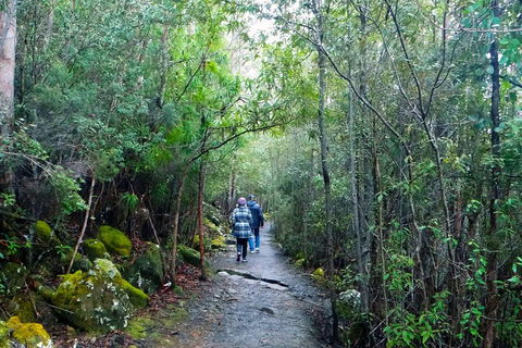 Kunanyi / Mt Wellington Explorer Bus - 2 Hour Return Tour - Holiday Adelaide 2