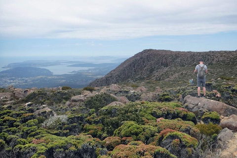 Kunanyi / Mt Wellington Explorer Bus - 2 Hour Return Tour - Holiday Adelaide 3