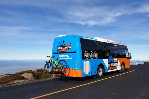 Kunanyi / Mt Wellington Explorer Bus - 2 Hour Return Tour - Holiday Adelaide 4