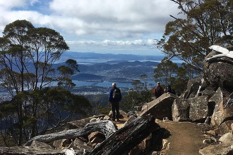 Kunanyi/Mt Wellington Explorer Bus - One Way Tour - Holiday Adelaide 2