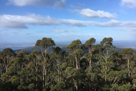 Kunanyi/Mt Wellington Explorer Bus - One Way Tour - Holiday Adelaide 5