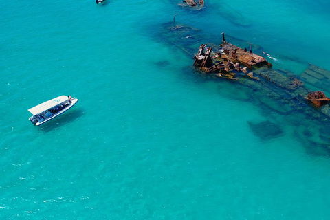 Private Tangalooma Wrecks Tour - Holiday Adelaide 4