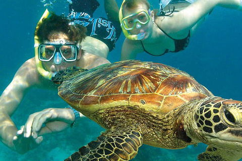 8-Day Cairns Tour: Great Barrier Reef, Kuranda, Daintree Rainforest - Holiday Adelaide 1