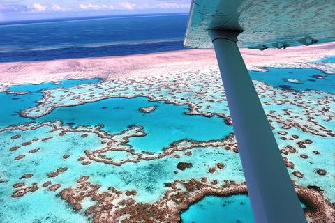 8-Day Cairns Tour: Great Barrier Reef, Kuranda, Daintree Rainforest - Holiday Adelaide 2