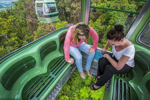 8-Day Cairns Tour: Great Barrier Reef, Kuranda, Daintree Rainforest - Holiday Adelaide 3