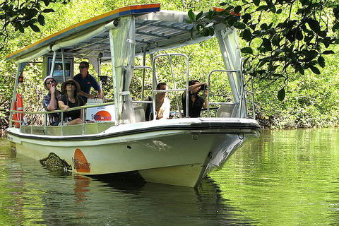 8-Day Cairns Tour: Great Barrier Reef, Kuranda, Daintree Rainforest - Holiday Adelaide 5