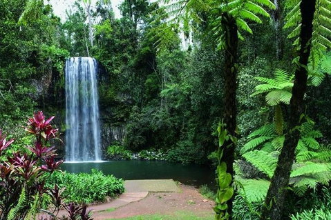 Paronella Park And Millaa Millaa Falls Full-day Tour From Cairns - Holiday Adelaide 3