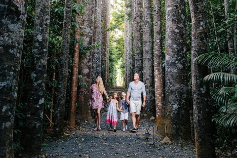 Paronella Park And Millaa Millaa Falls Full-day Tour From Cairns - Holiday Adelaide 5