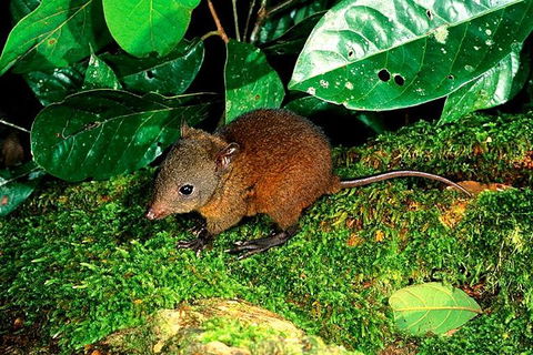 3-Day Small-Group Tour Of North Queensland With Pick Up - Holiday Adelaide 0