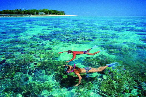 4-Day Cairns With Great Barrier Reef And Daintree Rainforest - Holiday Adelaide 2