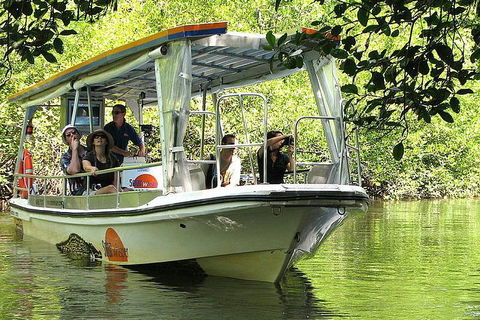 Private Daintree National Park Day Tour From Cairns Including Cape Tribulation And Mossman Gorge - Holiday Adelaide 5
