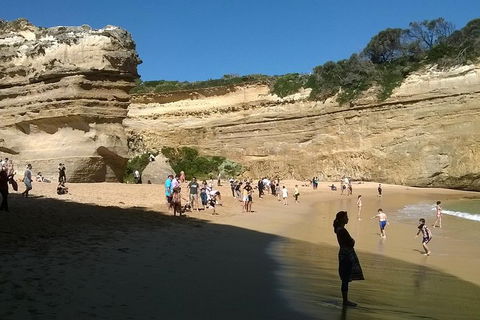 Great Ocean Road Full Day Private Experience - Holiday Adelaide 3