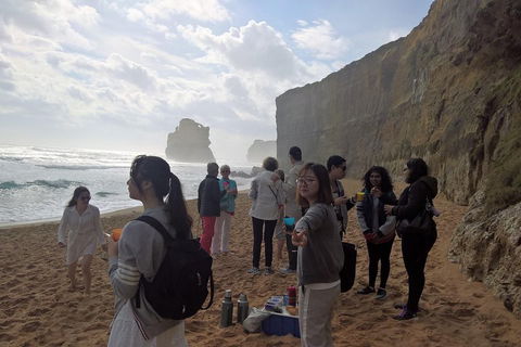 Great Ocean Road Full Day Private Experience - Holiday Adelaide 4
