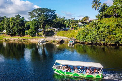 Afternoon Half-Day Daintree Rainforest And River Tour - Holiday Adelaide 1