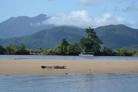 Afternoon Half-Day Daintree Rainforest And River Tour - Holiday Adelaide 2