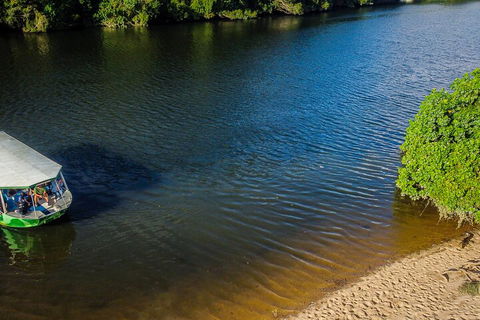 Afternoon Half-Day Daintree Rainforest And River Tour - Holiday Adelaide 3