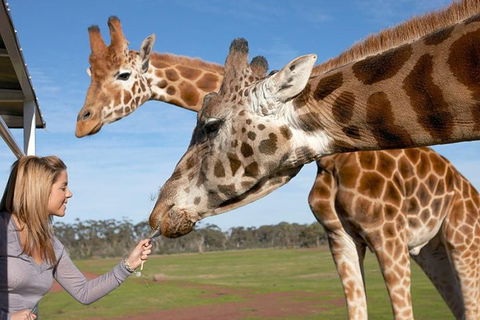Melbourne City Card (2 Days): Visit Unlimited Attractions! - Holiday Adelaide 1