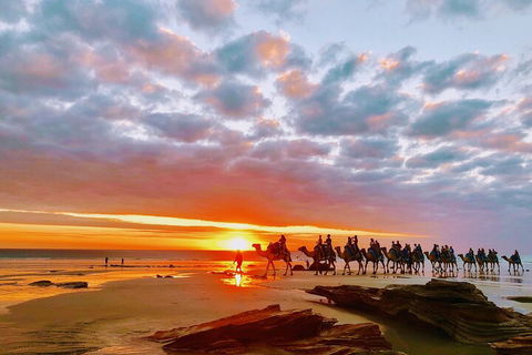 1 Hour Broome Sunset Camel Tour - Holiday Adelaide 0