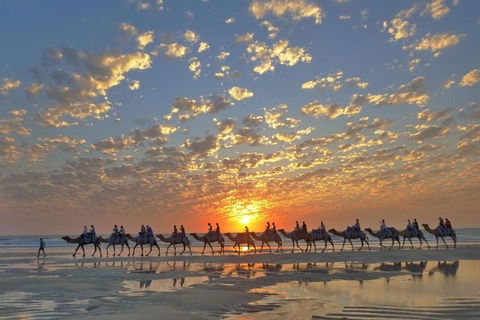 1 Hour Broome Sunset Camel Tour - Holiday Adelaide 1